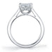 Double prong cushion cut ring with channel set princess cut diamonds