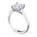 princess cut ring-test
