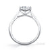 princess cut ring-test