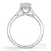Monaco 4 claw diamond solitaire ring with channel set diamond band